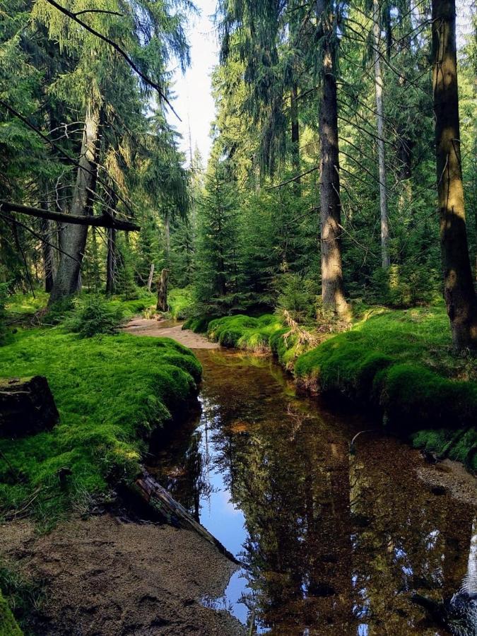 Apartmany Paseky - Jablonec Nad Nisou Dış mekan fotoğraf