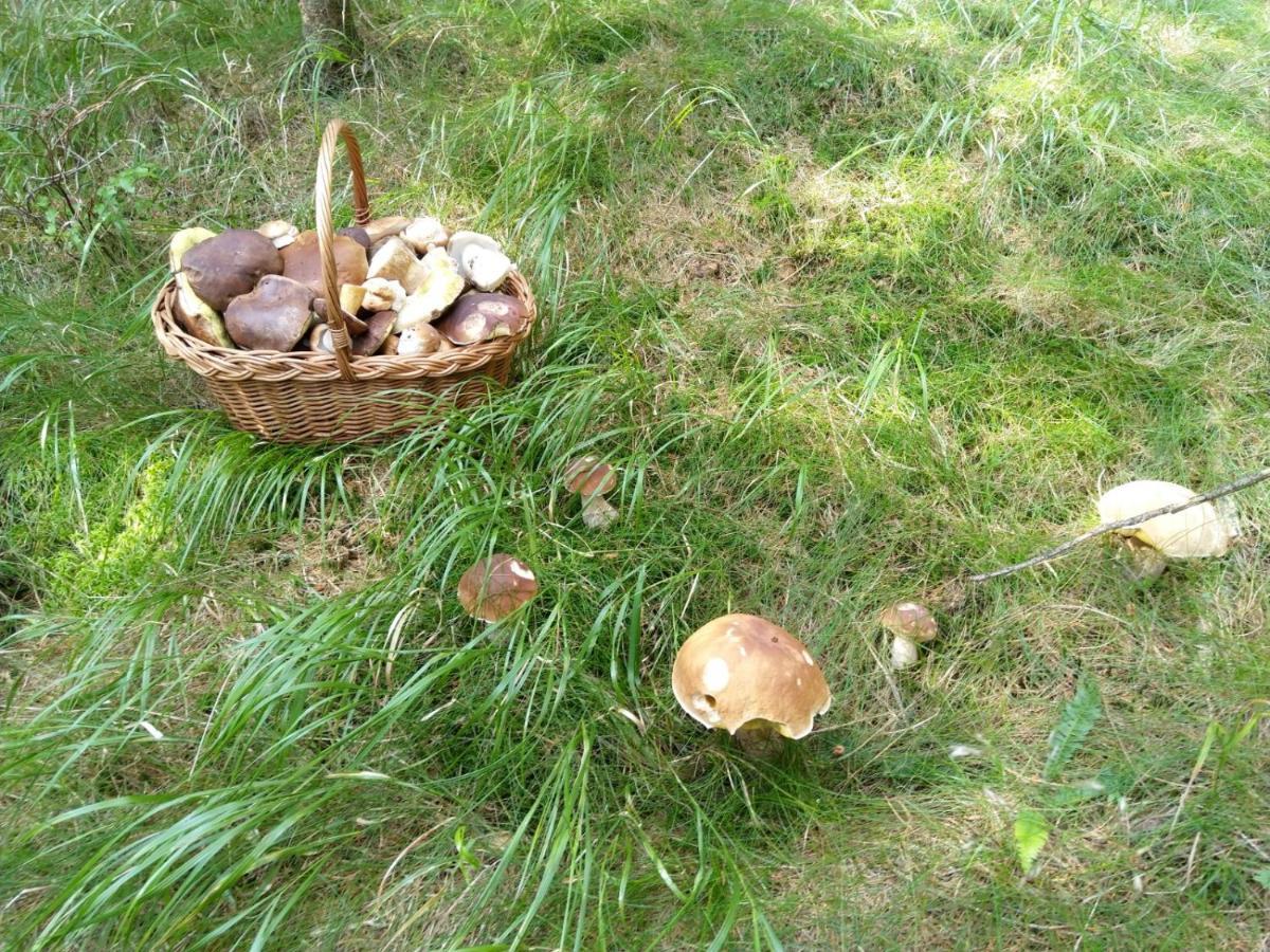 Apartmany Paseky - Jablonec Nad Nisou Dış mekan fotoğraf