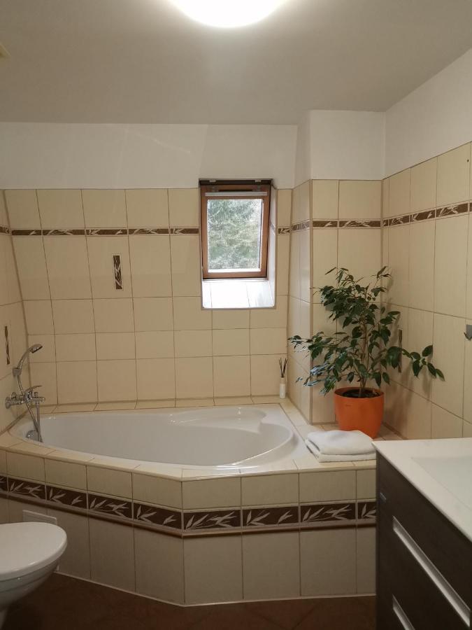 Apartmany Paseky - Jablonec Nad Nisou Dış mekan fotoğraf